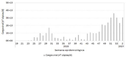 Projeto Monitoramento COVID Esgotos registra o segundo maior nível de carga viral nos esgotos de Minas Gerais